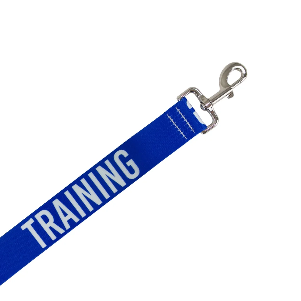 Awareness Training & Safety Dog Lead 1.5m 'hi-Vis TRAINING' BLUE