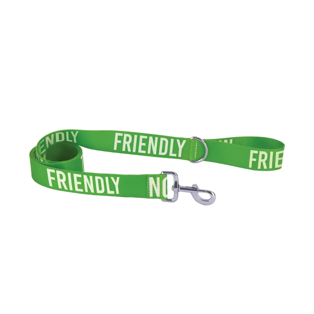 Awareness Training & Safety Dog Lead 1.5m 'FRIENDLY' GREEN