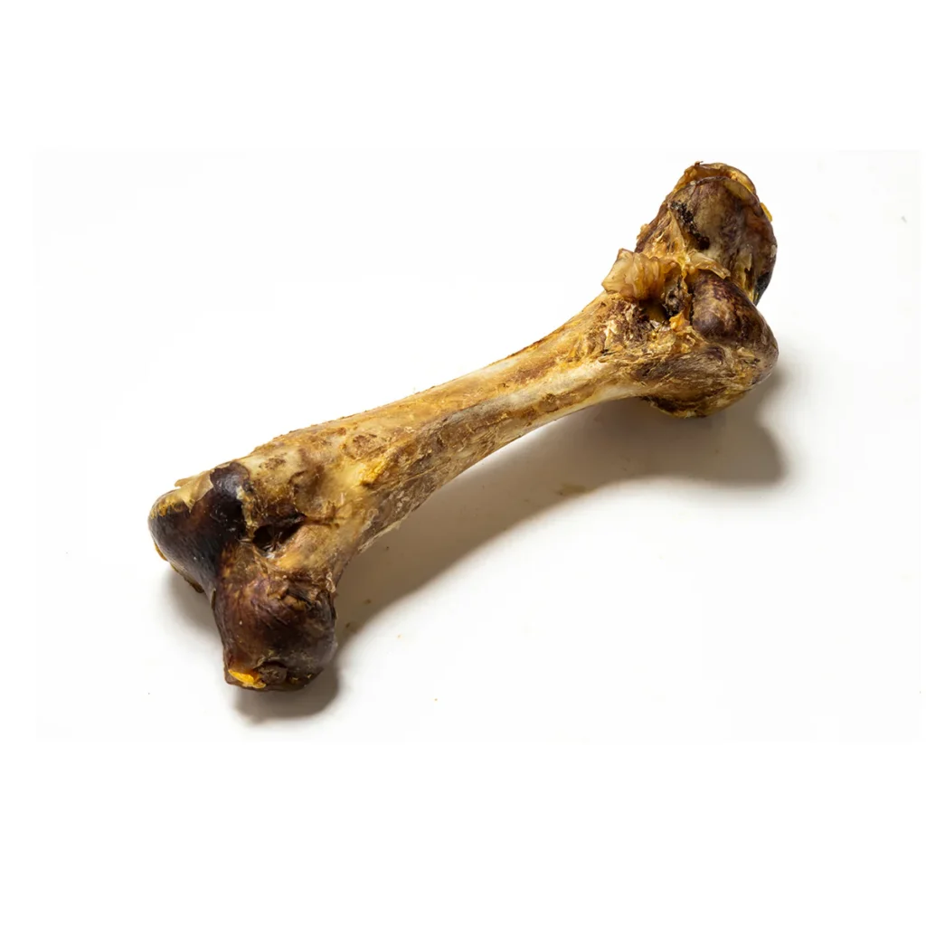 Jumbo Ostrich Bone (crumbles don’t splinter)